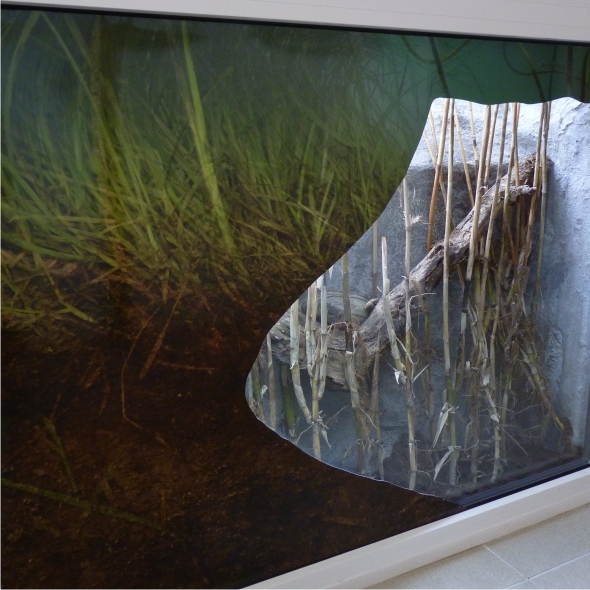 Osserva anche la vita sotterranea!